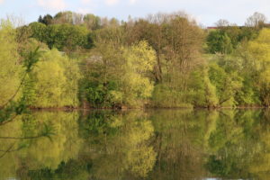 der see an dem die Zeit still steht und sich zurück drehen lässt